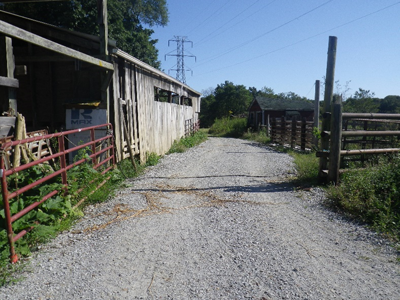 Access Road