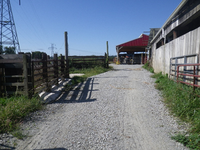 Access Road